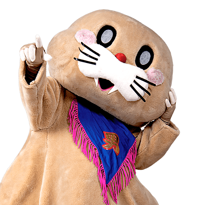 ポコたん