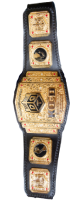 KO-D  OPENWEIGHT CHAMPION