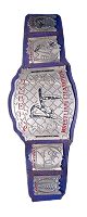 DDT EXTREME CHAMPION
