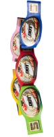 KO-D 10-MAN TAG TEAM CHAMPIONS