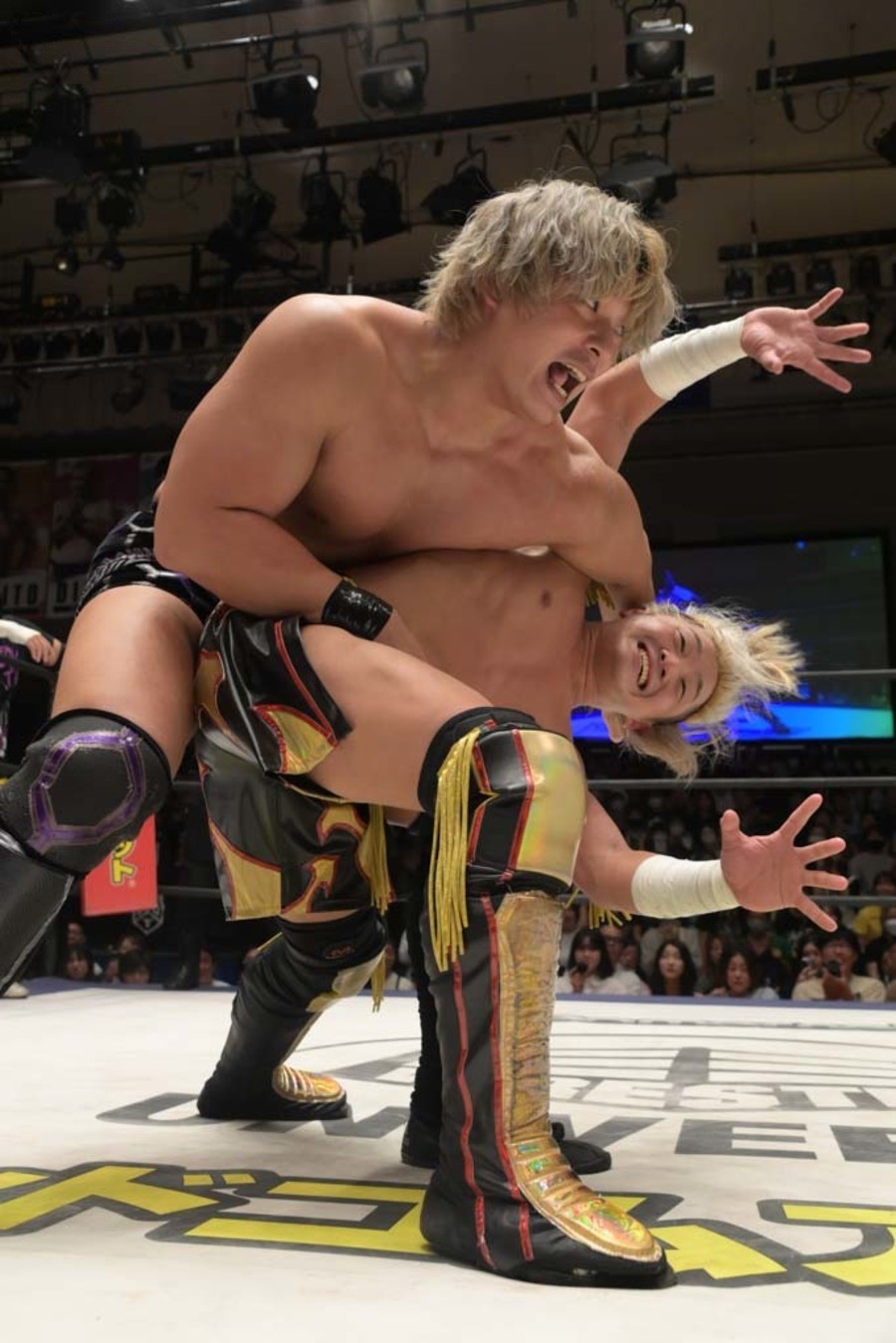夏休みの思い出2024 | DDT プロレスリング公式サイト