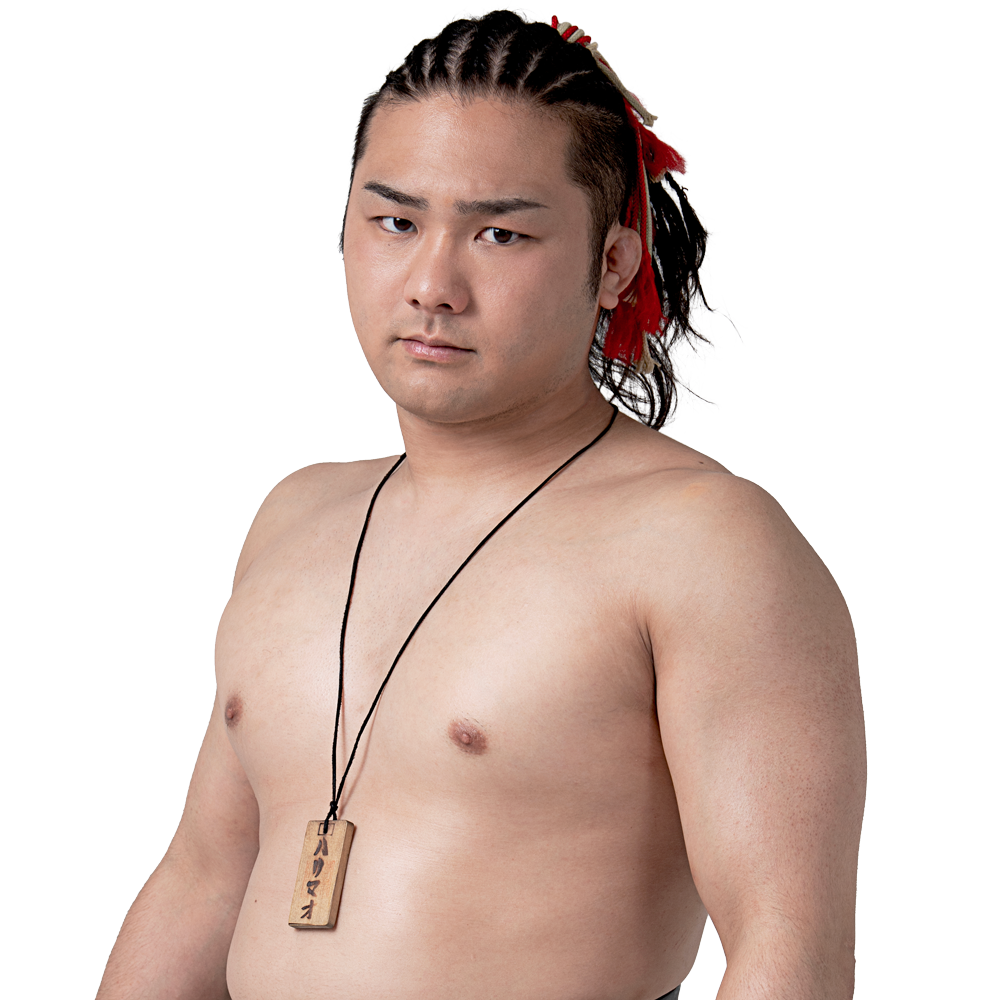 石田有輝