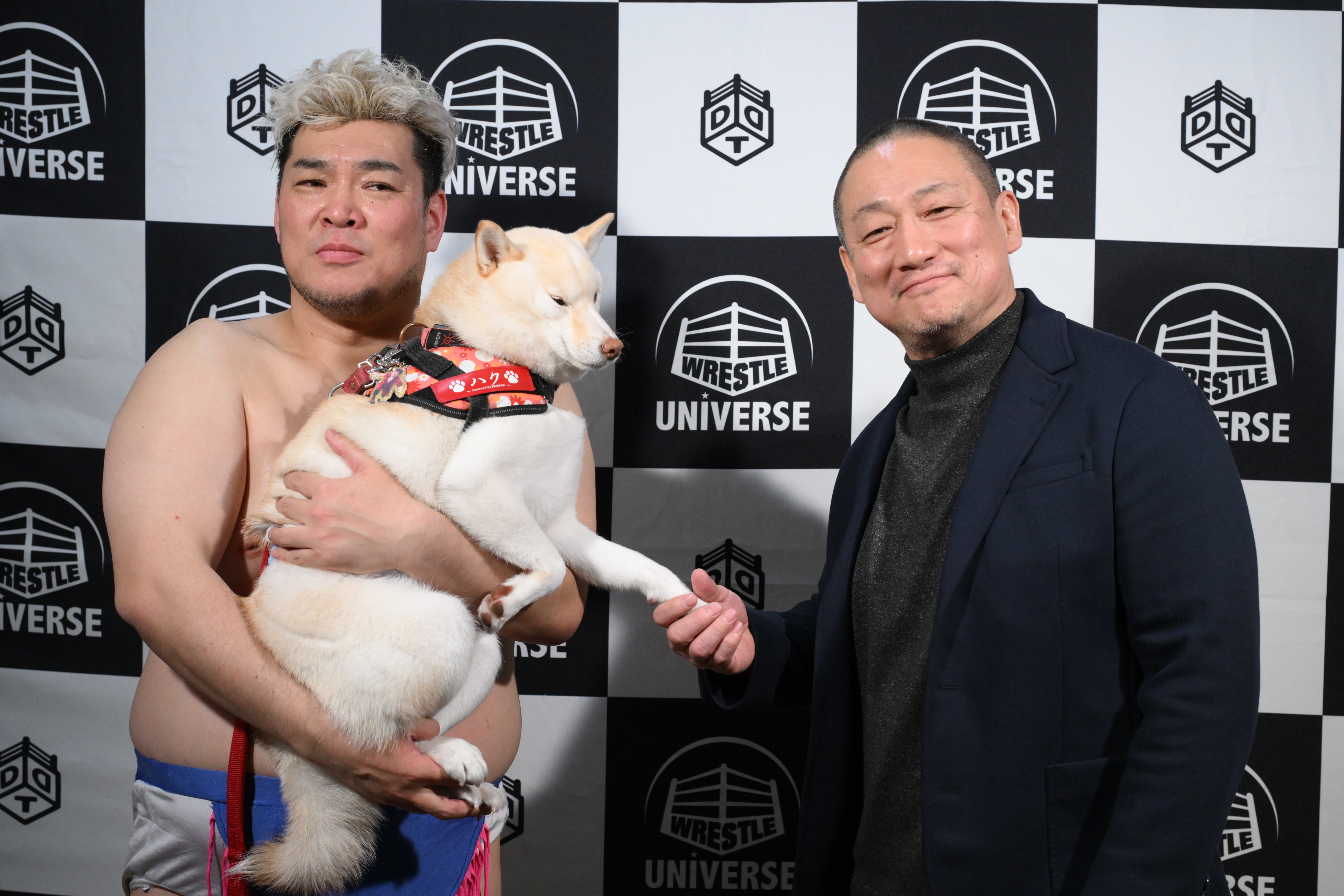 【プロレス団体所属となった男色ディーノの保護犬・ハクに単独インタビュー】試合をせずしてDDTを引っ張っていく存在になりたいでゲス