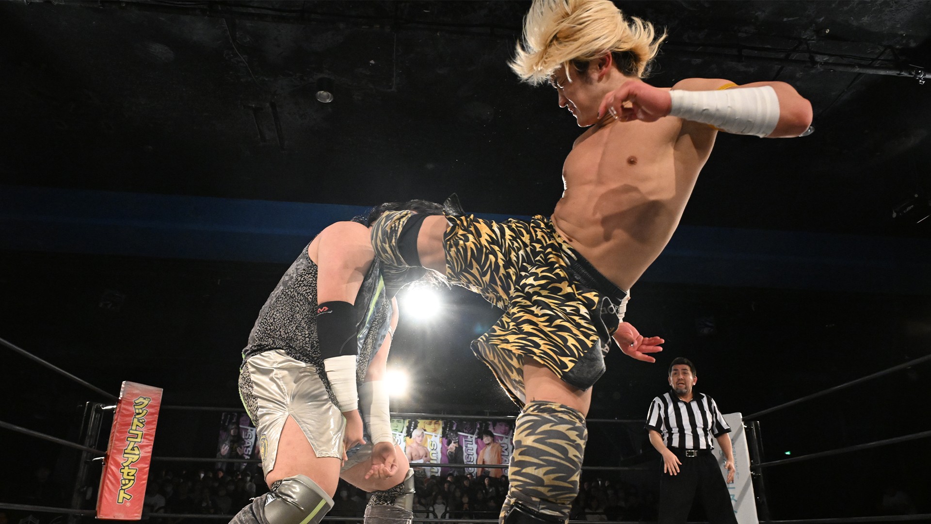 6月追加日程&チケット詳細決定／3日&10日新宿大会！　13日横浜大会！　17日&18日上野でビアガーデンプロレス！　20日大阪大会！　21日名古屋大会！　28日後楽園ホール大会！