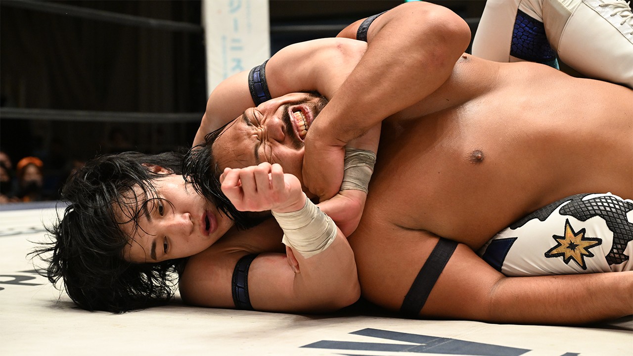 DREAM LIGHTS～水曜日のDDTどうでしょう～