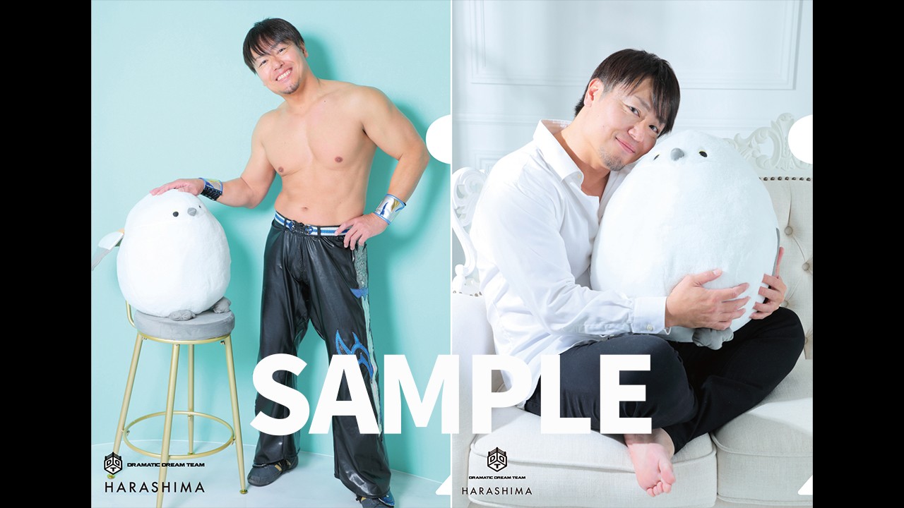 5月1日&2日札幌大会追加情報／来場者特典として札幌のフォトスタジオ「スタジオファイブ」提供の非売品クリアファイルをプレゼント！　2日には赤井沙希さんの来場も決定！